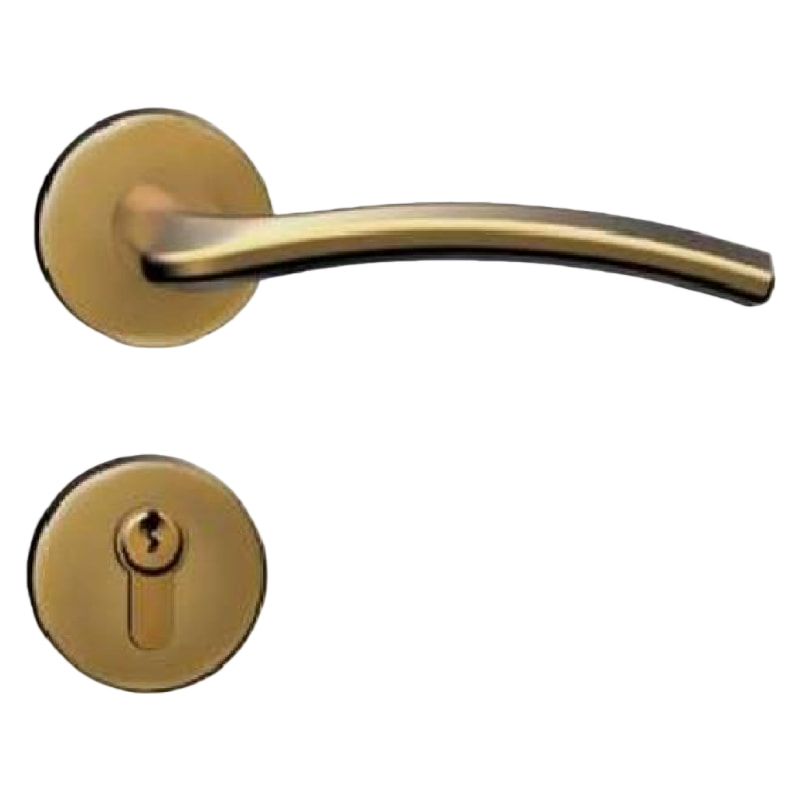 B2现代简约门锁沙金