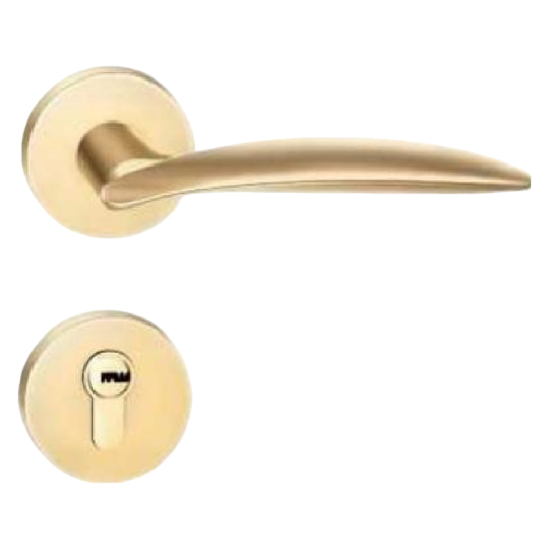 Q32现代简约门锁沙金